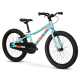 Fuji Dynamite Coaster 20in Bike